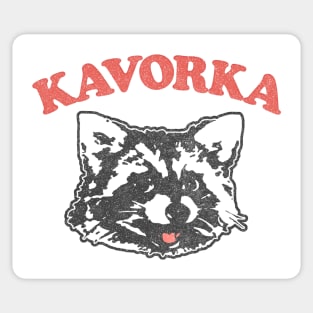 Kavorka  /  Street Cat Raccoon Lovers Gift Sticker